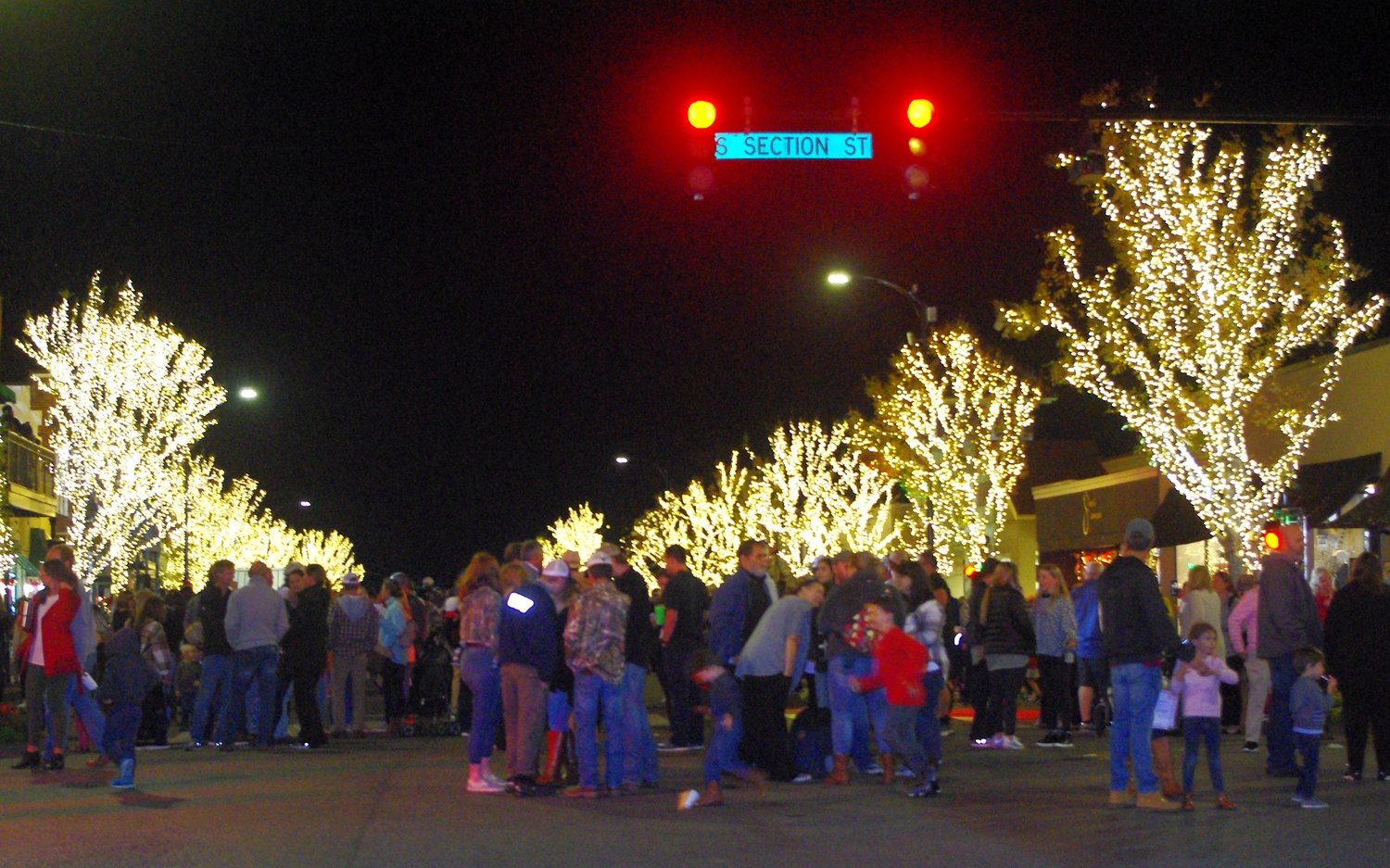 Fairhope buys new downtown tree lights